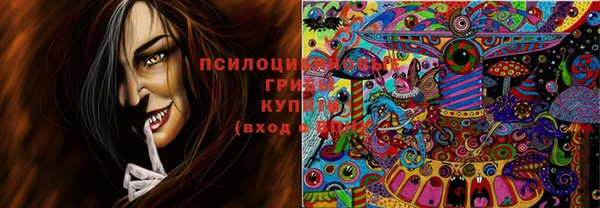 крисы Всеволожск