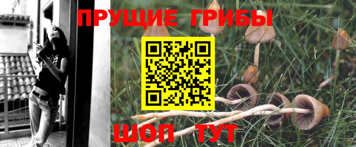 Советск  Мефедрон  Вход с VPN  Мефедрон кристаллы  Гашиш  Марихуана  COCAIN 